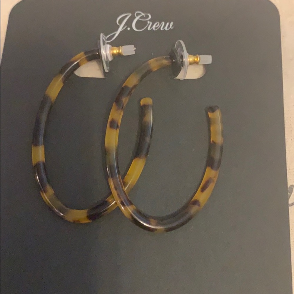 Hoop Earrings ( J Crew)